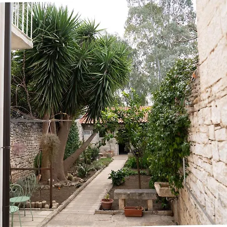 Alisei Сasa de vacaciones *