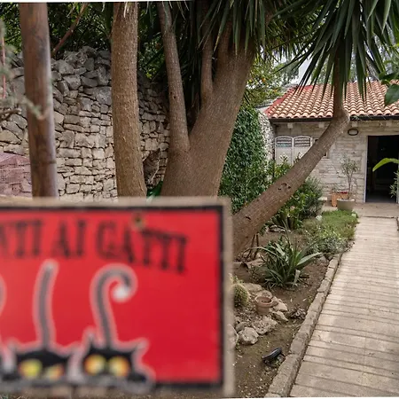 Alisei Holiday home Terlizzi